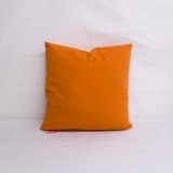 Throw Pillow Made With Sunbrella Canvas Tangerine 5406-0000