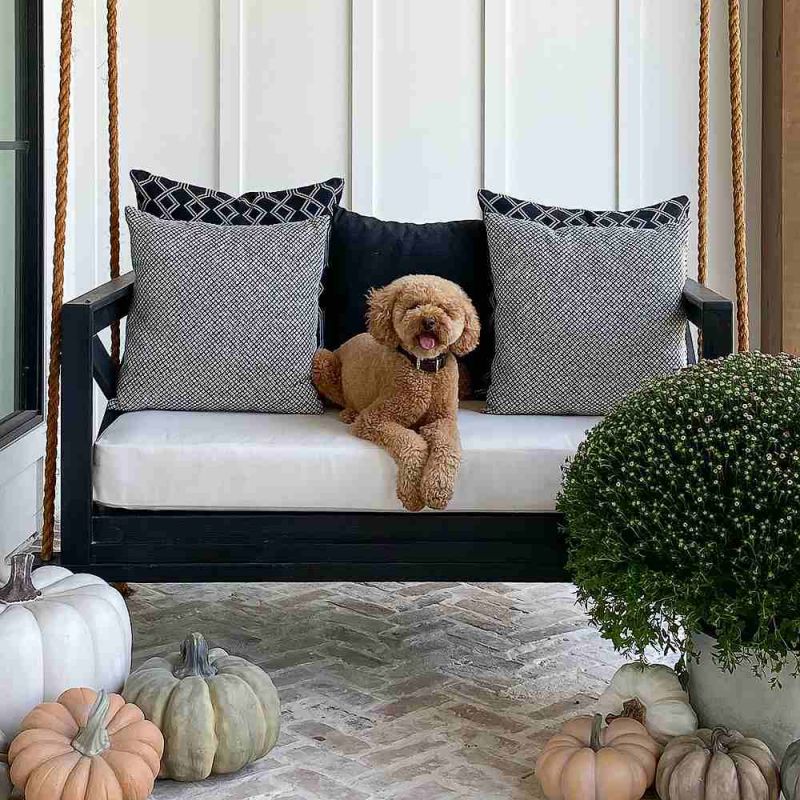 Sunbrella Curated Patio Swing Bed Cushion Bundle Triple C Farmhouse Twin Size
