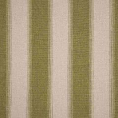 Order Cut Yardage: Sunbrella Intent Moss 16003-0001