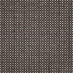 Sunbrella Depth Fossil 16007-0003 Dimension Collection Upholstery Fabric