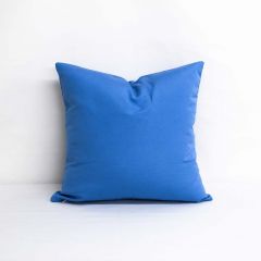 Throw Pillow Made With Sunbrella Canvas Capri 5426-0000