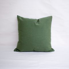 Throw Pillow Made With Sunbrella Canvas Fern 5487-0000