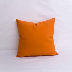 Throw Pillow Made With Sunbrella Canvas Tuscan 5417-0000